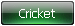 bet-on-cricket