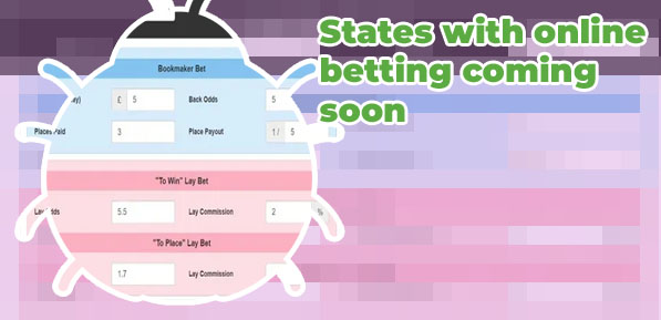 Easiest way to bet online