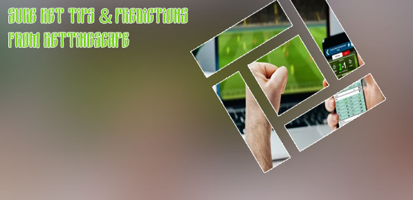 Trusted betting tips sites